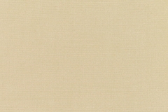 Canvas-Antique-Beige