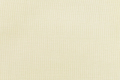 Canvas-Birds-Eye