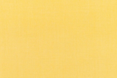 Canvas-Buttercup
