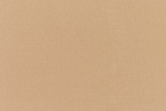 Canvas-Camel