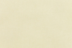 Canvas-Canvas