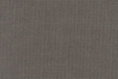 Canvas-Coal