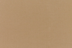 Canvas-Cocoa