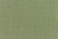 Canvas-Fern