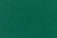 Canvas-Forest-Green