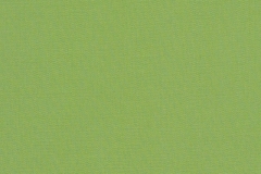 Canvas-Ginkgo