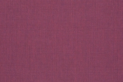 Canvas-Iris