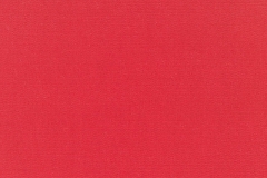 Canvas-Logo-Red