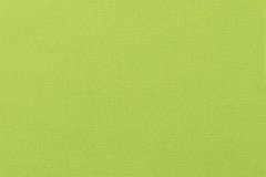Canvas-Macaw