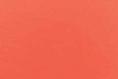Canvas-Melon