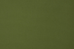 Canvas-Palm