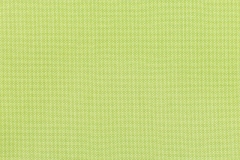 Canvas-Parrot