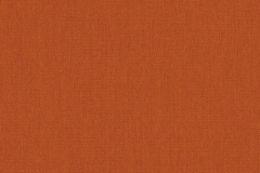 Canvas-Rust