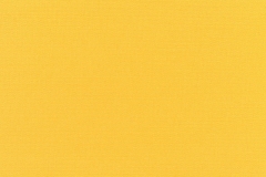 Canvas-Sunflower-Yellow
