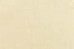 Canvas-Vellum