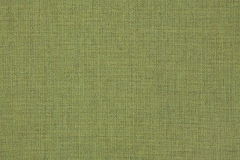 Cast-Moss