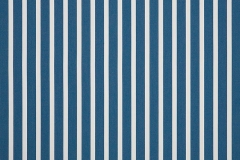 Shore-Regatta