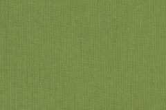 Spectrum-Cilantro