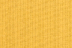 Spectrum-Daffodil