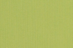 Spectrum-Kiwi