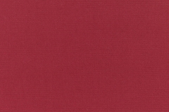 Canvas-Burgundy