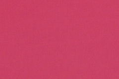 Canvas-Hot-Pink