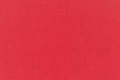 Canvas-Logo-Red