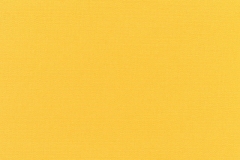 Canvas-Sunflower-Yellow