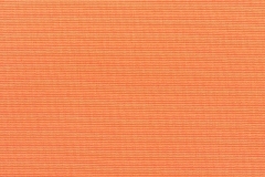Canvas-Tangerine