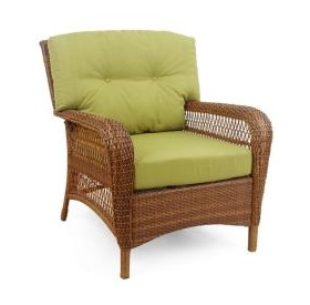 Martha Stewart Living Charlottetown Lounge Chair Replacement Cushion
