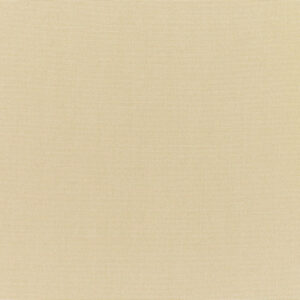 Canvas Antique Beige