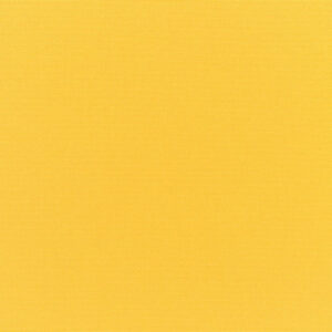 Canvas Sunflower Yellow