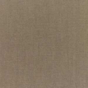 Canvas Taupe Outdoor replacement cushions